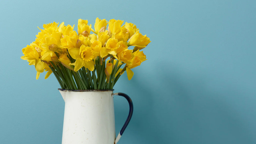 5 Simple Ways to Refresh Your Home for Spring